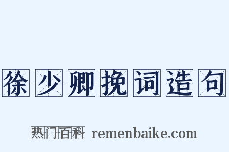 徐少卿挽词造句是什么意思的图片